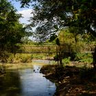 Serepok river in dry season