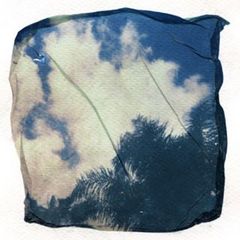 SERGIO GIANNOTTA .Senza Titolo In riva al cielo dopo il diluvio2017 Polaroid emulsion lift