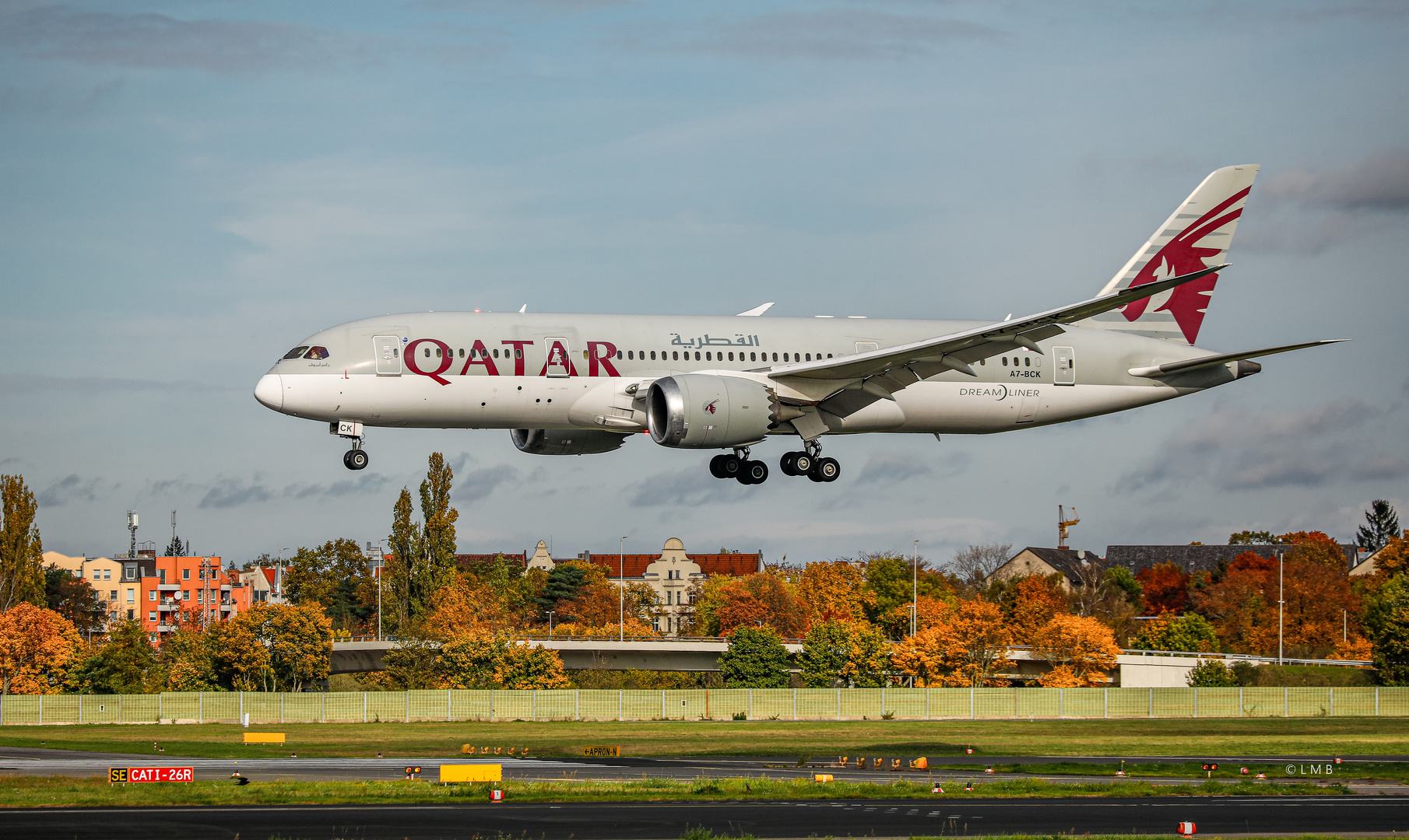 Serial number 62: gray Dreamliner over colored Trees