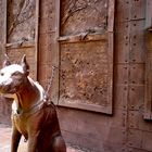 SERIE: Animales Inanimados / El perro