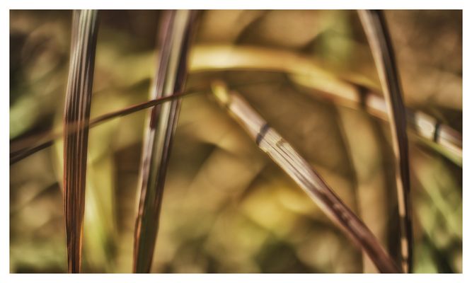 ... Serie: "beyond contemplation" (37)