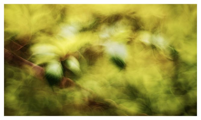 ... Serie: "beyond contemplation" (68) ...