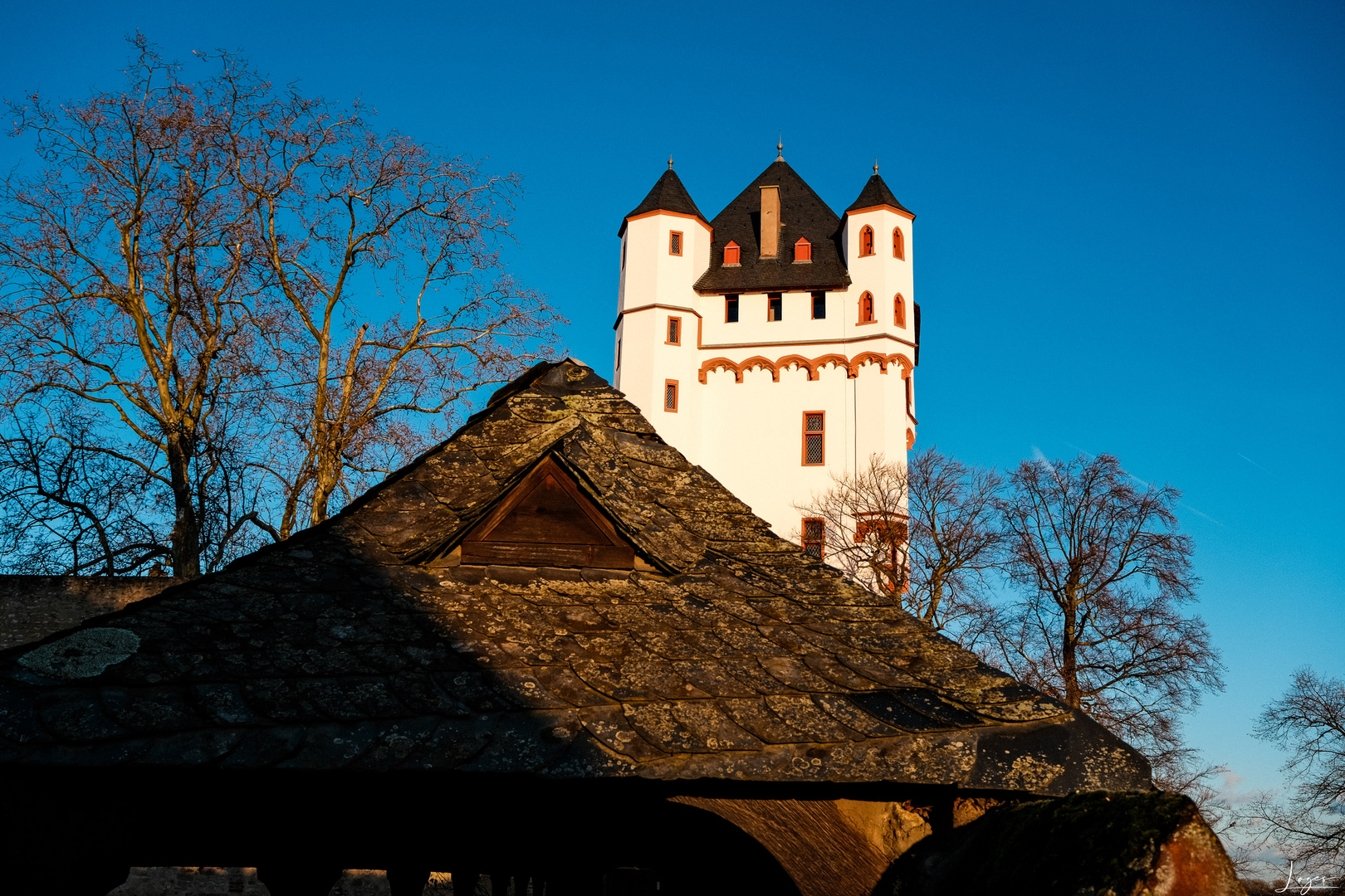 Serie: Eltville am Rhein