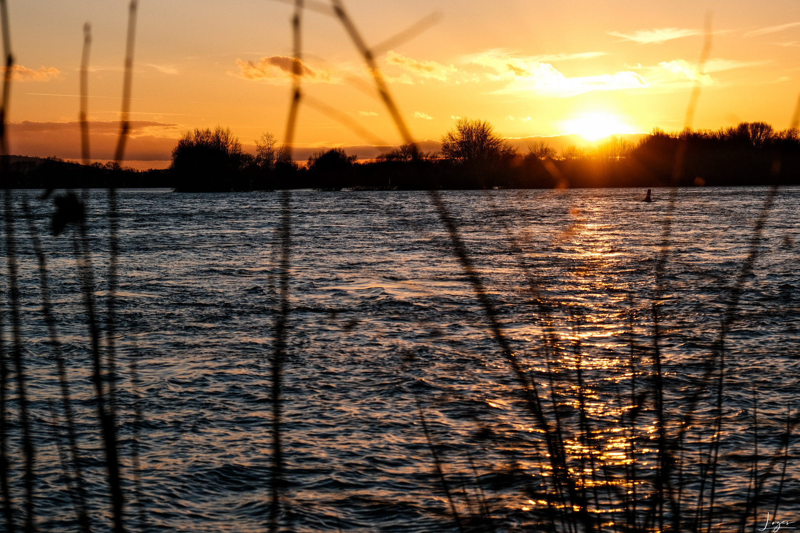 Serie: Eltville am Rhein