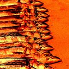 Serie - Fisch terracotta