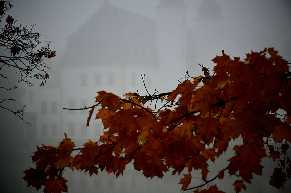 Serie Herbstnebel