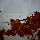 Serie Herbstnebel