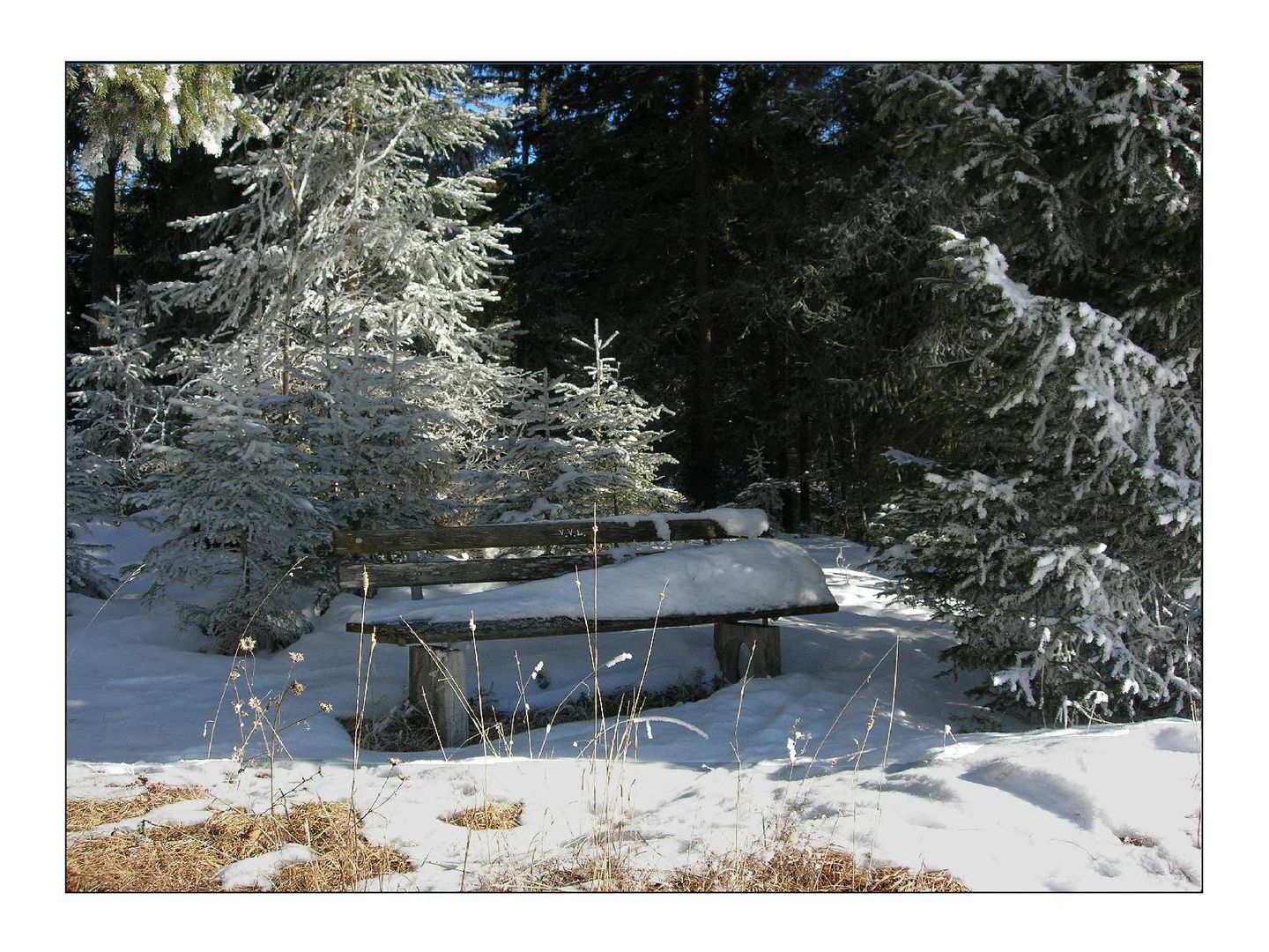 SERIE "Licht und Schatten in Tirol" - Rastbank in der Leutasch