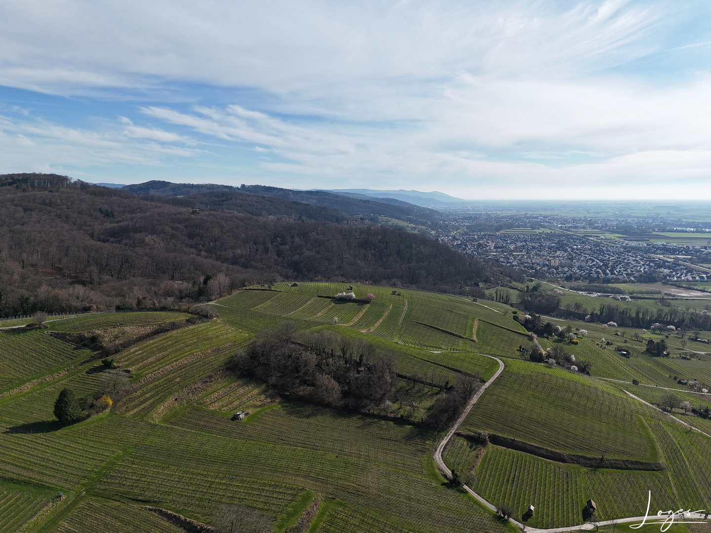 Serie: Luftaufnahmen der Weinberge an der Hessischen Bergstraße