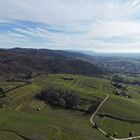 Serie: Luftaufnahmen der Weinberge an der Hessischen Bergstraße