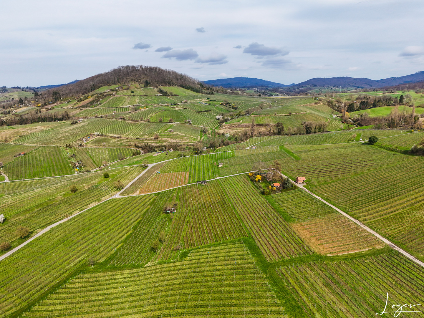 Serie: Luftaufnahmen der Weinberge an der Hessischen Bergstraße