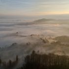 Serie: Morgennebel im Odenwald