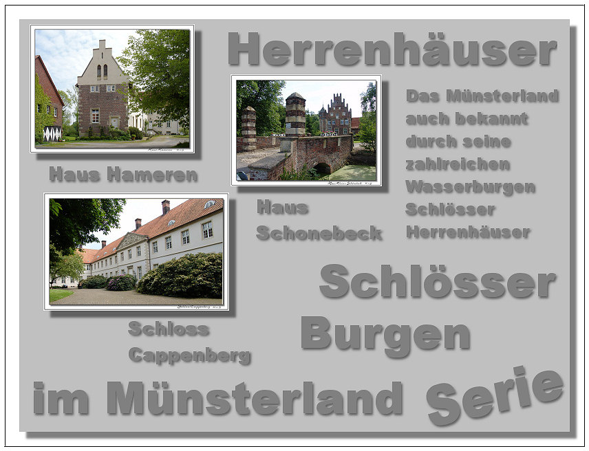 Serie Münsterland