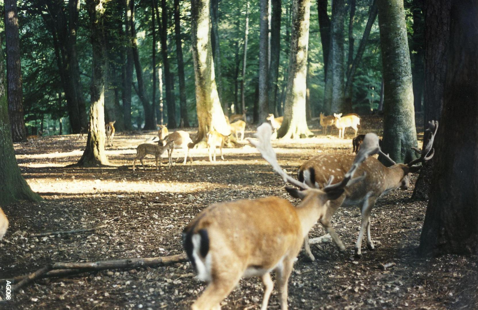 serie natura