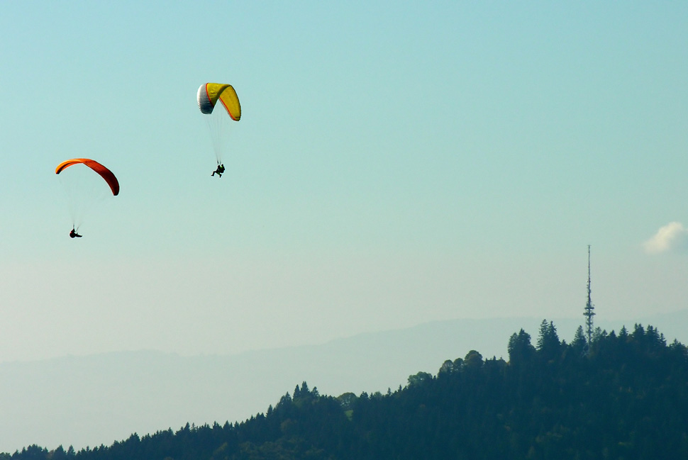 Serie Paragleiter: Im Aufwind des Bachtels