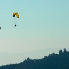 Serie Paragleiter: Im Aufwind des Bachtels