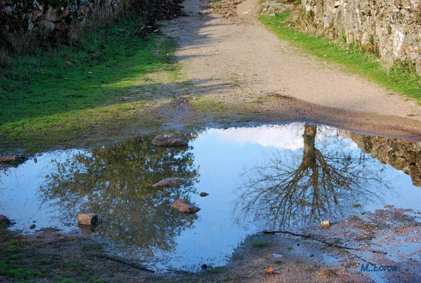 serie reflejos 2