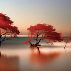 Serie roter Baum