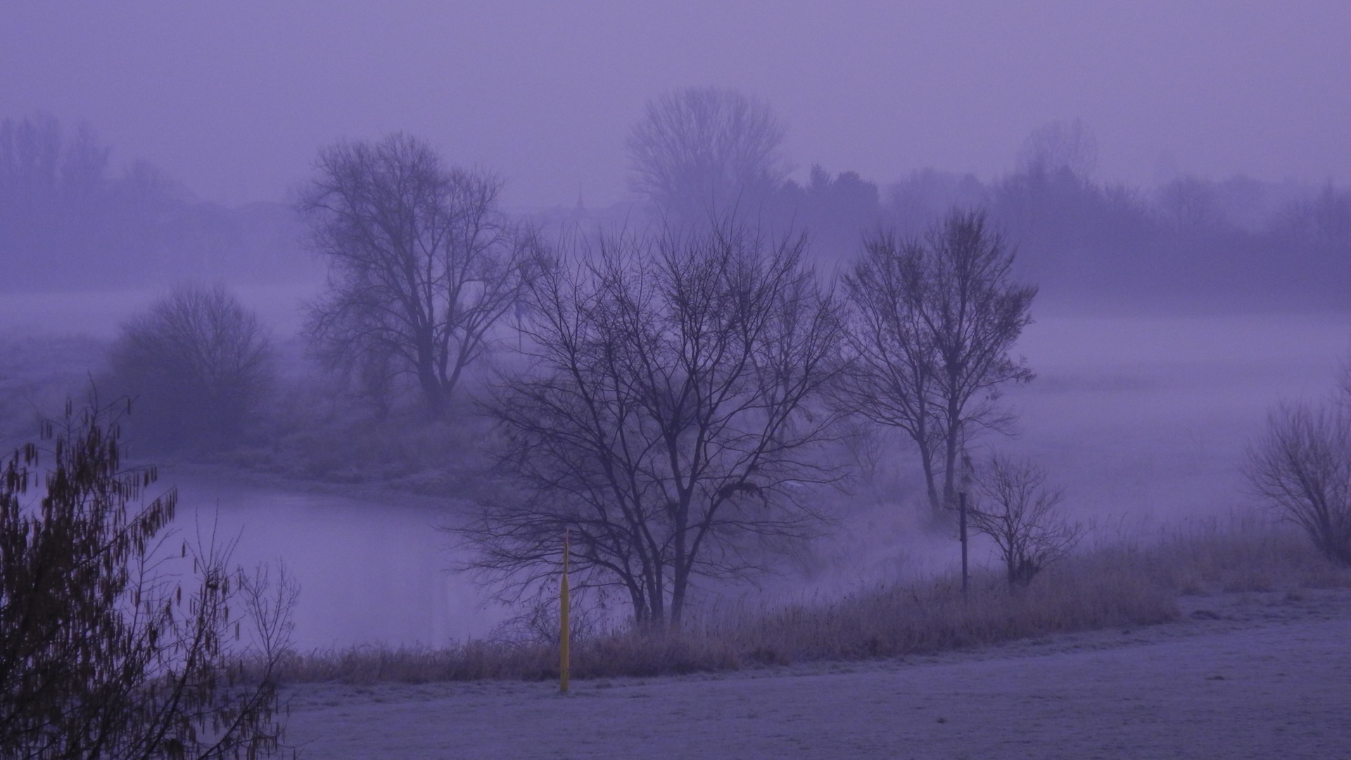 serie "schlaflos" - Titelbild