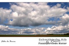 SERIE Schwäbische Alb - Felder bei Beuren (Farbe)