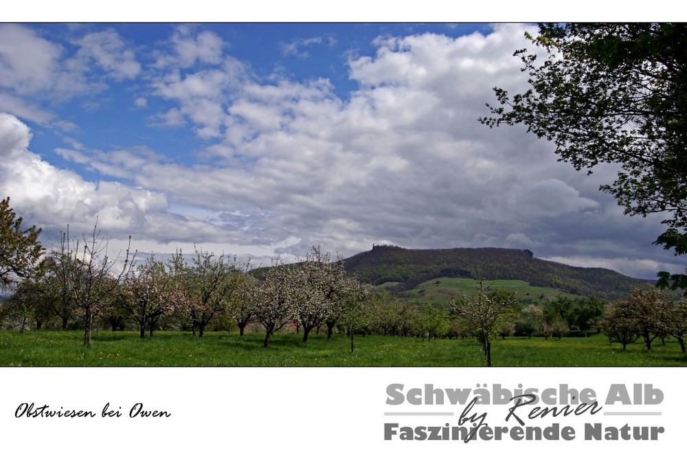 SERIE Schwäbische Alb - Obstwiesen bei Owen