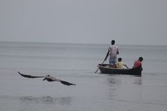 Serie, sobrevivencia, trabajadores de la mar 11