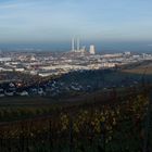 Serie UmlandPano. Blick von Wartberg auf das IndustrieGebiet mit Weinbergen