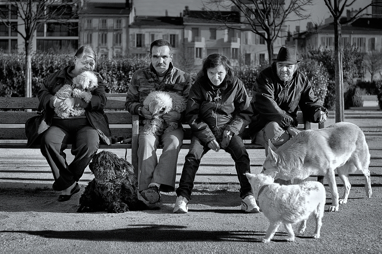 Série "VIe de chien, chienne de vie".