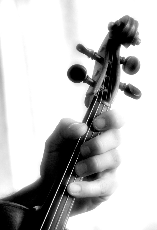 Serie Viola - 3 -