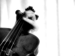 Serie Viola - 4 -