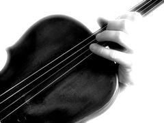 Serie Viola - 5 -