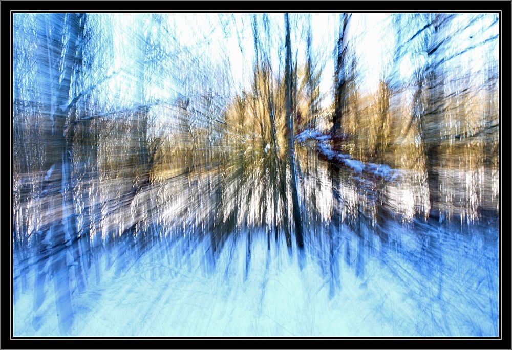 Serie Winter-Wald-Wischer (1)