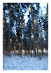 Serie Winter-Wald-Wischer (3)