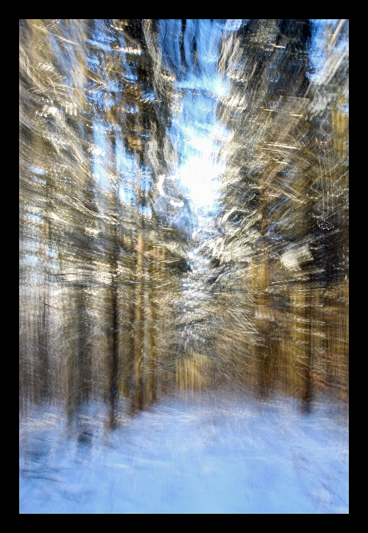 Serie Winter-Wald-Wischer (4)