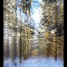 Serie Winter-Wald-Wischer (4)