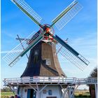 Seriemer Mühle „De goede Verwagting“ in der Herbstsonne