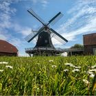 Seriemer Mühle in Ostfriesland