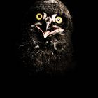 Series "Animals" : Baby Snow Owl