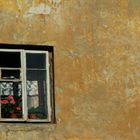 Series: Vilnius through the window #1