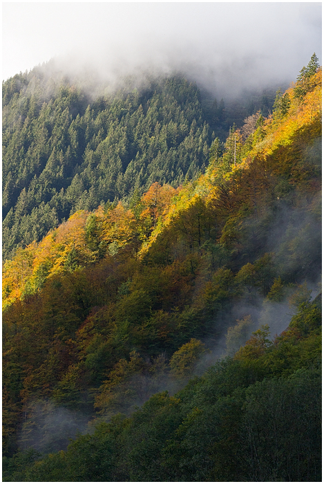 Sernftaler Herbstmorgen