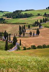 Serpentin mit Zypressen im Orcia Tal