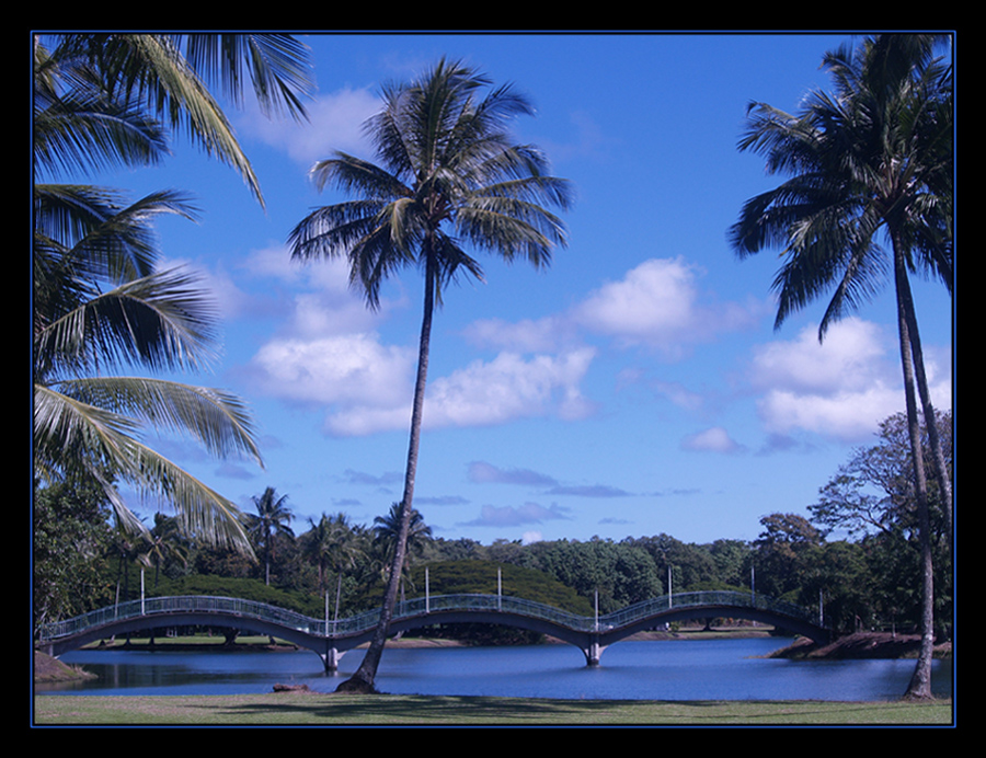 Serpentine Bridge