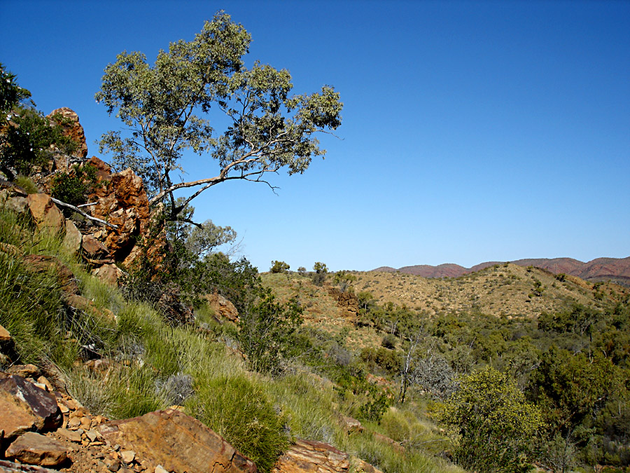 Serpentine Gorge View [1-]