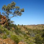 Serpentine Gorge View [1-]