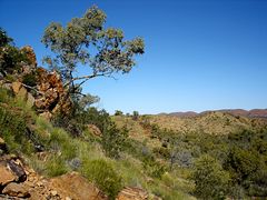 Serpentine Gorge View [1-]