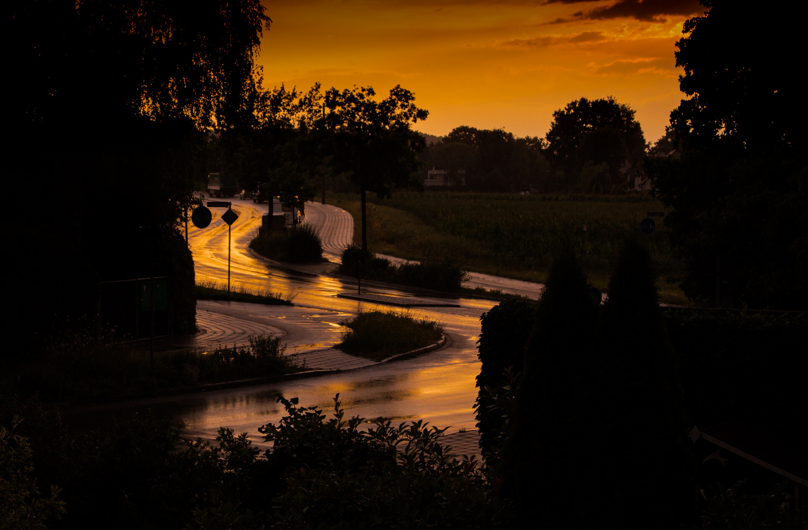 Serpentine in den Sonnenuntergang