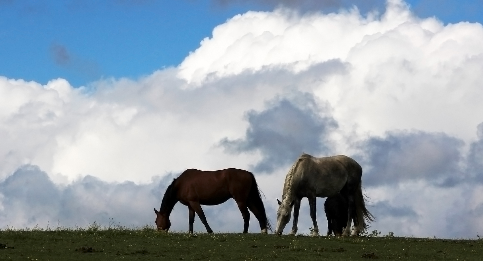 Serpents de L Air...........