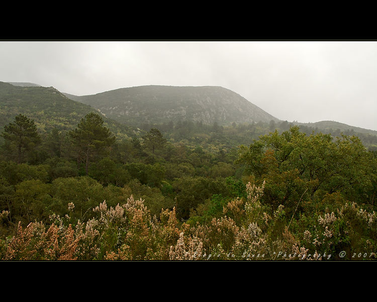 Serra da Arrábida