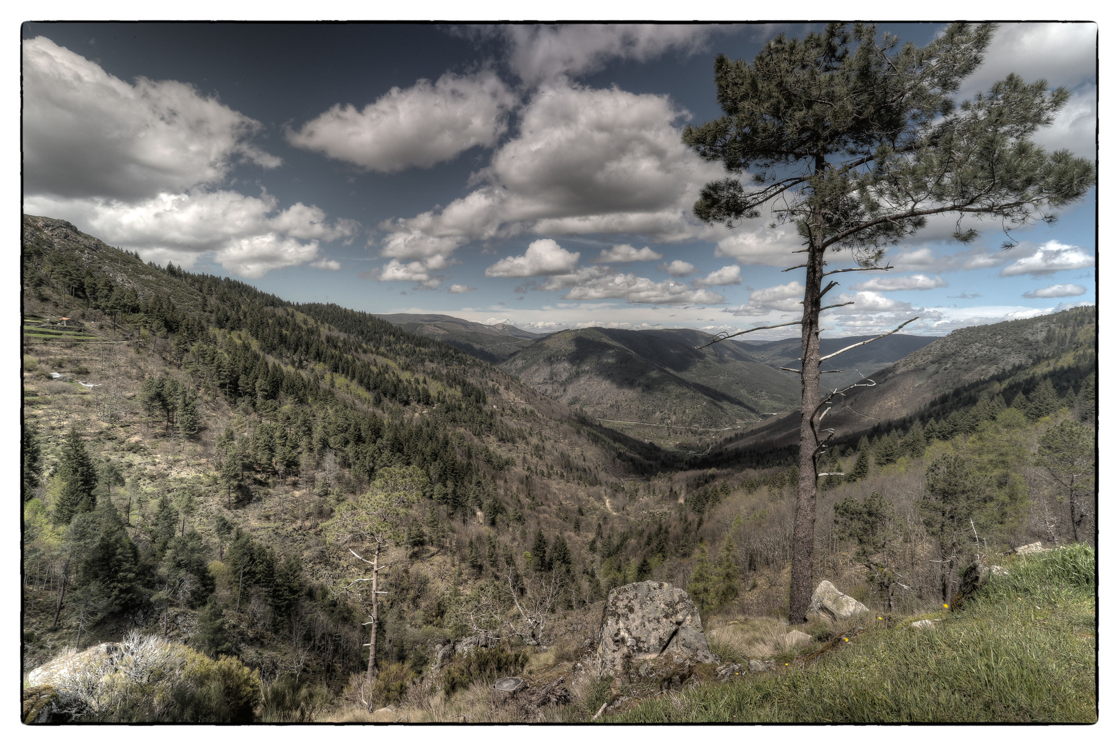 ... Serra da Estrela ...