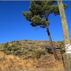 Serra da Estrela